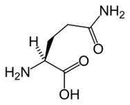 L-glutamin a keto diétában